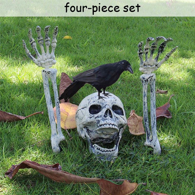 Skull Set And 1 Crow