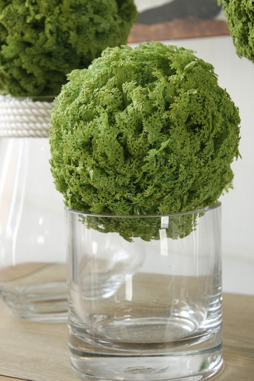 Moss Ball-14cm