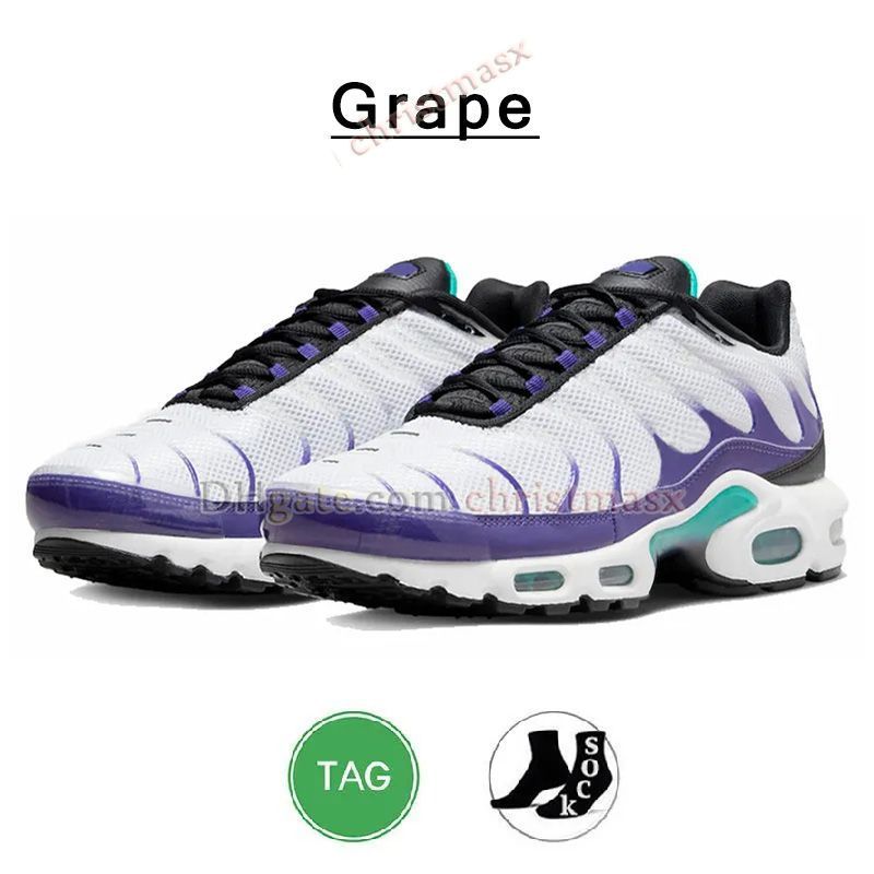 N44 40-46 Grape