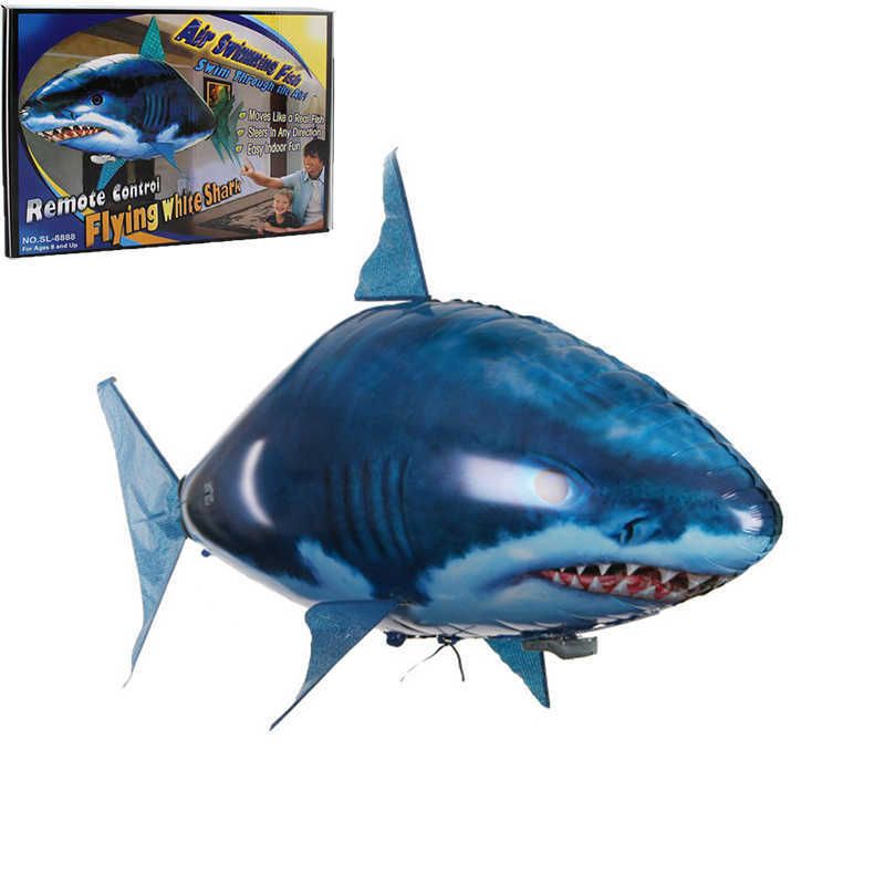 shark with box