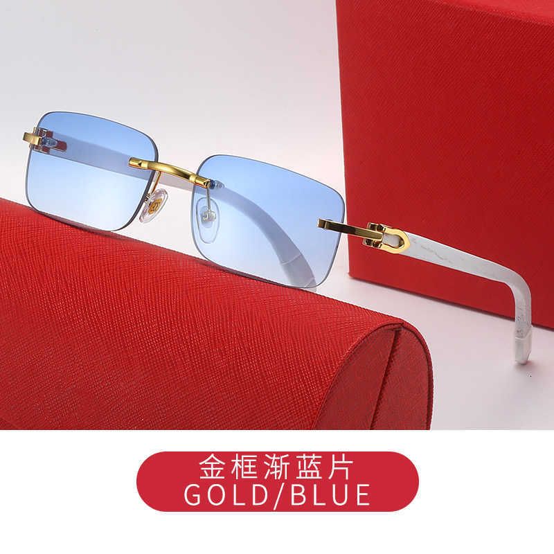 c6 gold frame double blue chip
