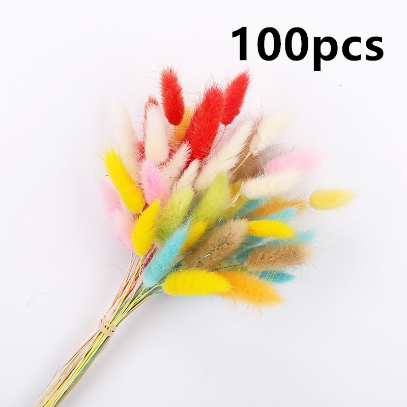 CT100PCS