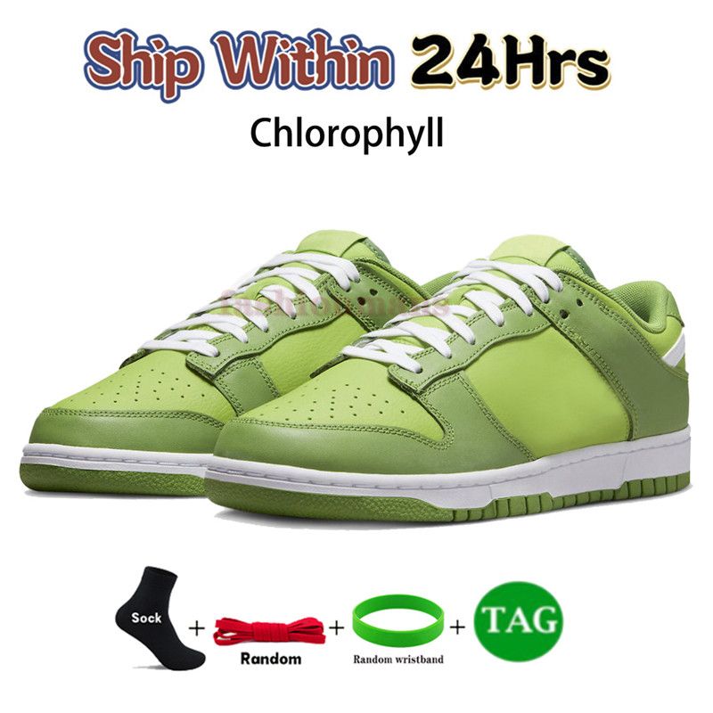 47 clorofila