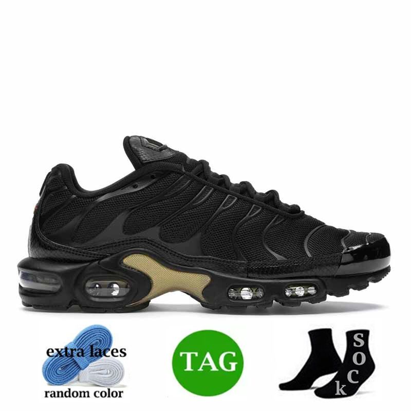 40-46 oro negro