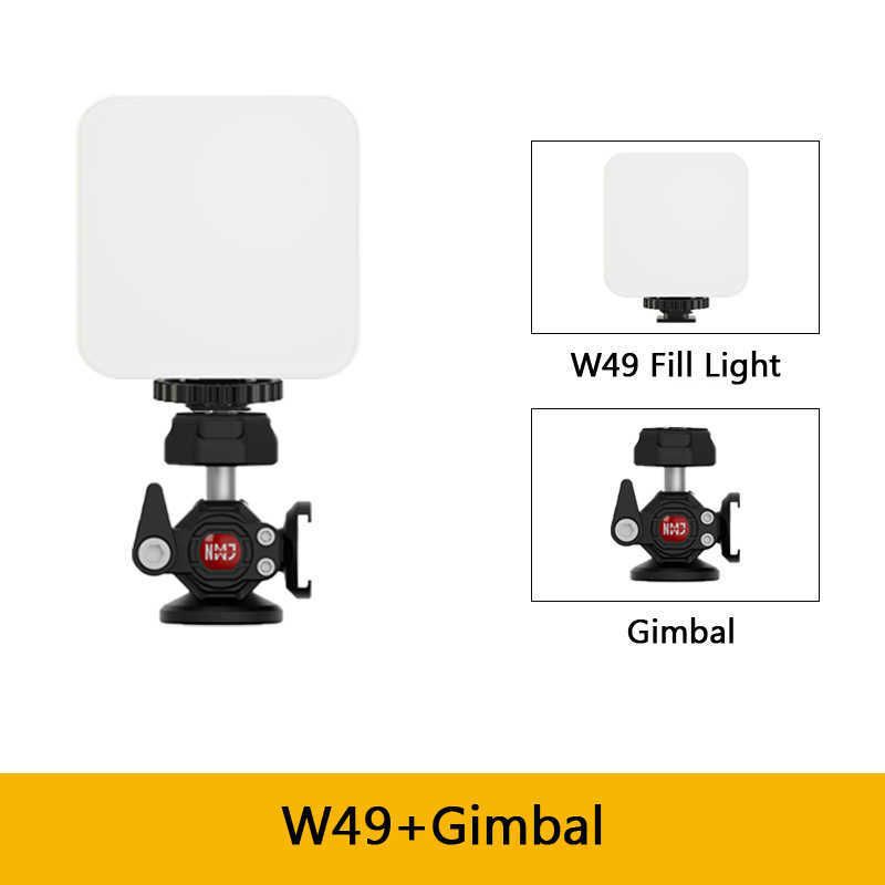 W49 N Gimbal