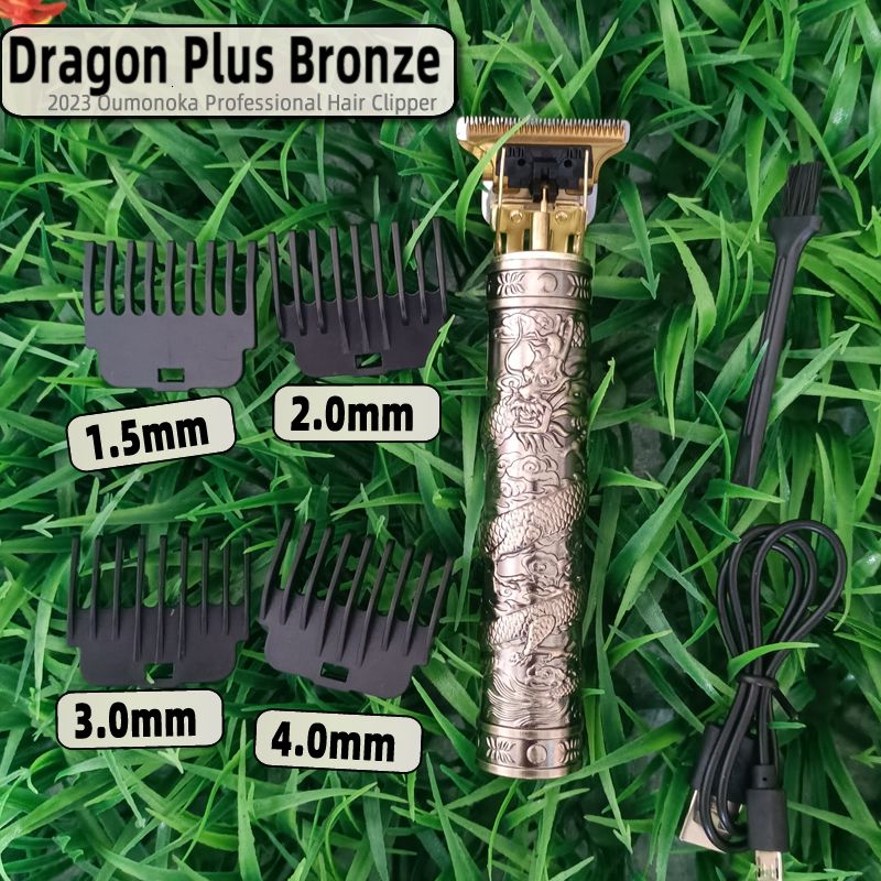 Dragon plus Bronze