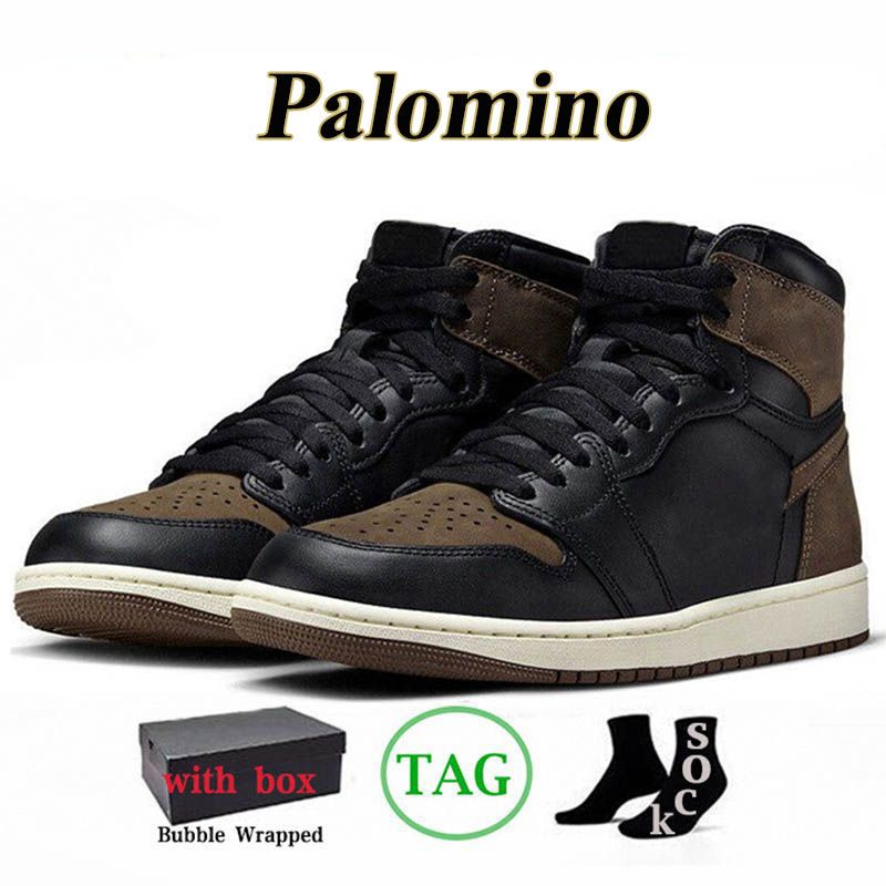 A16 Palomino 36-47