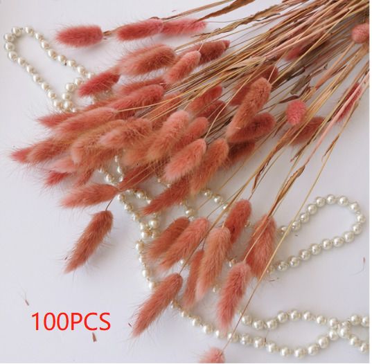 DSFT100PCS