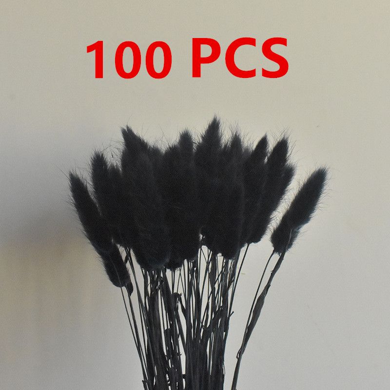 BLACKT100PCS