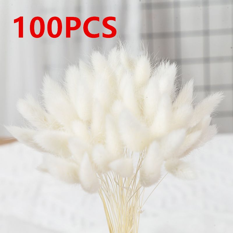 BT100PCS