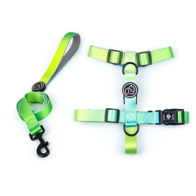 Grön Harness Leash