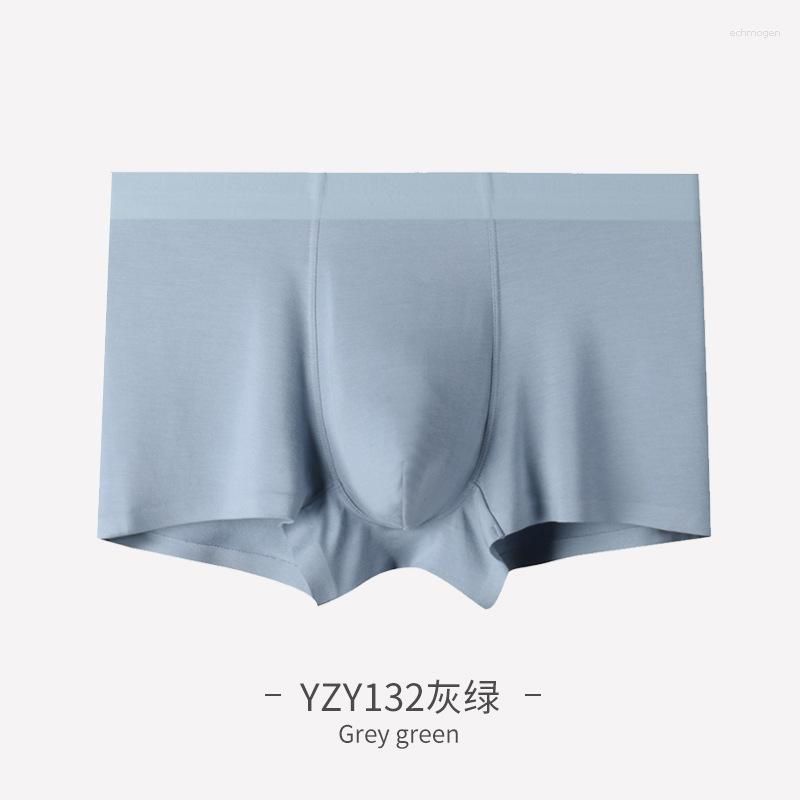 YZY132 gris-vert