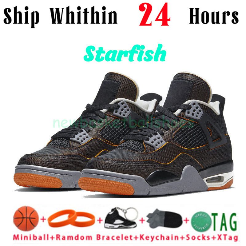 40 Starfish 02