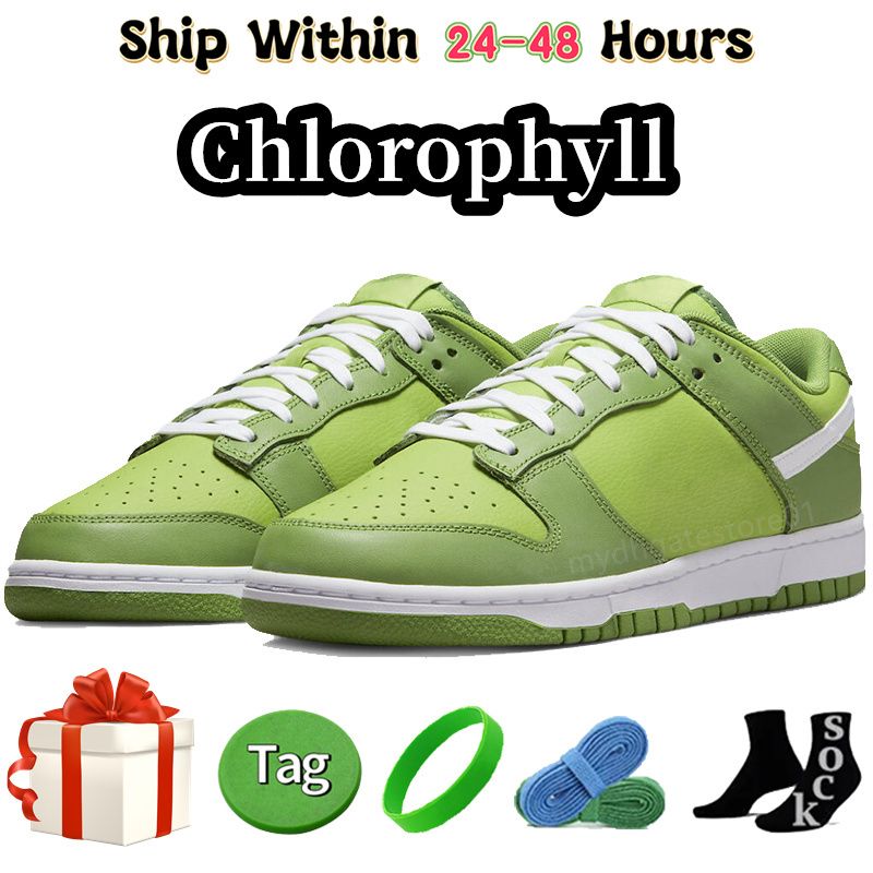 #34 – Chlorophyll