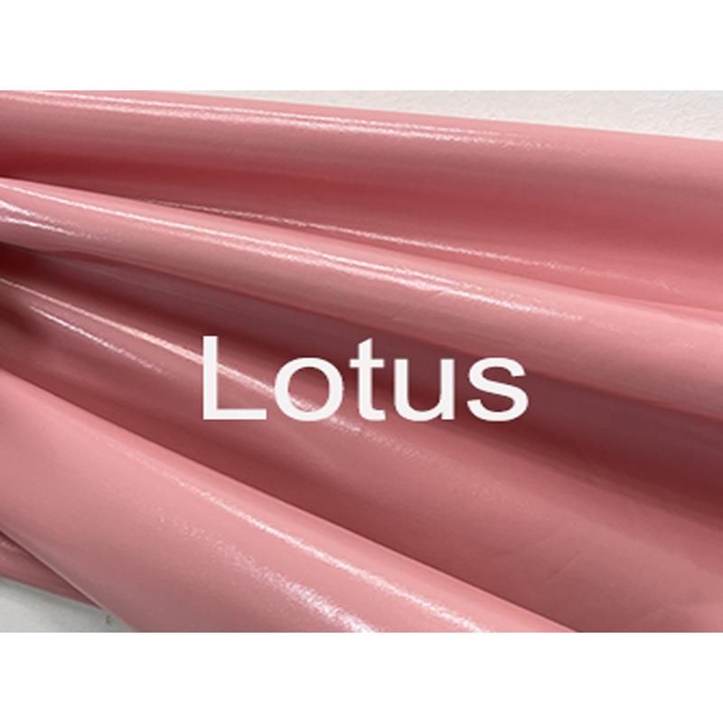 Lotus Raiz Color