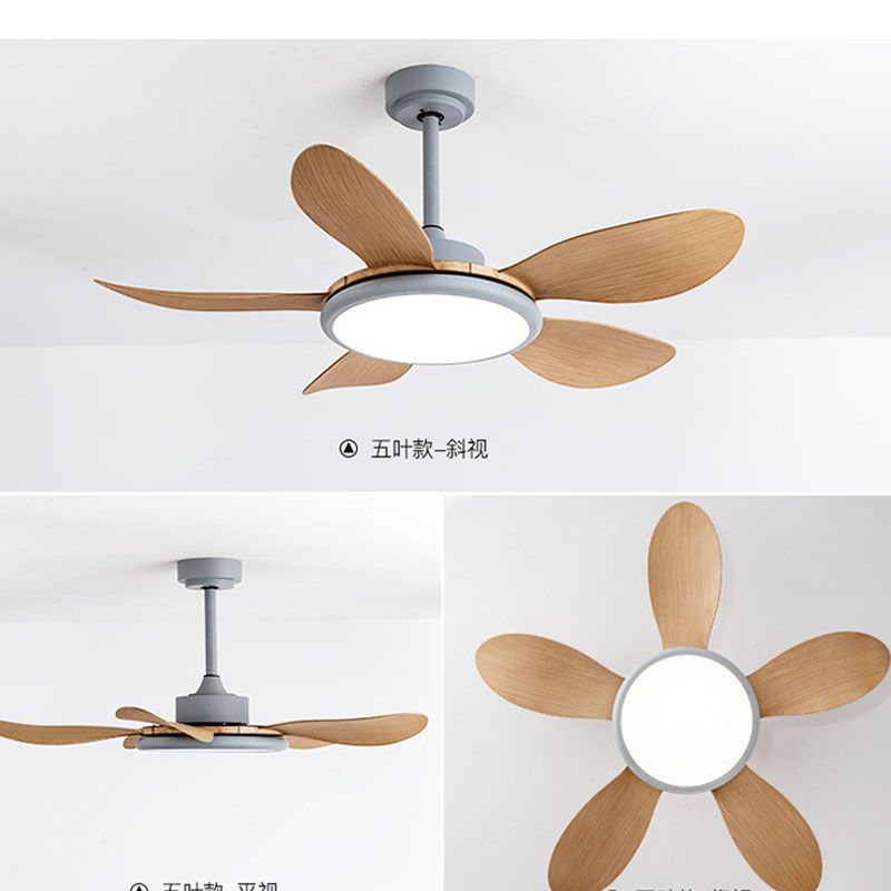 Ceiling fan 52Inch AC 220-240 V2