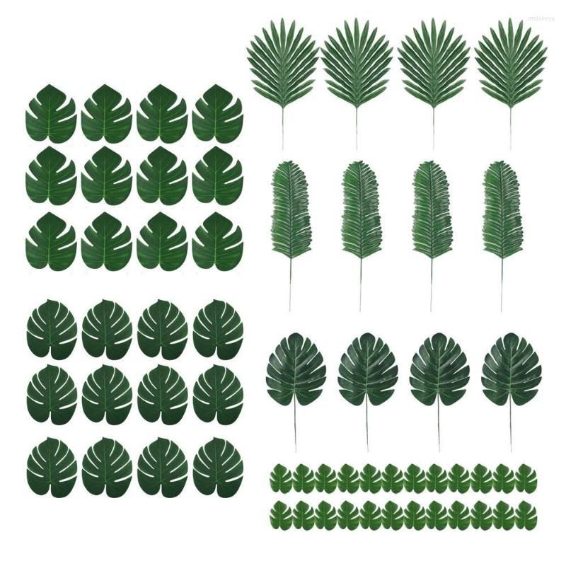 6 plantes 60pcs