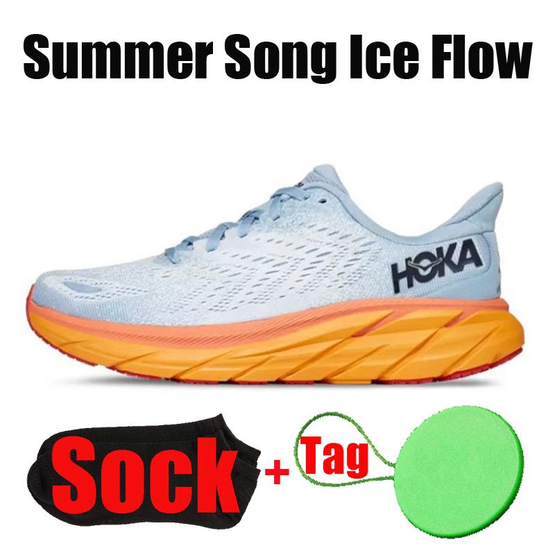 22 Summer Song Ice Flow