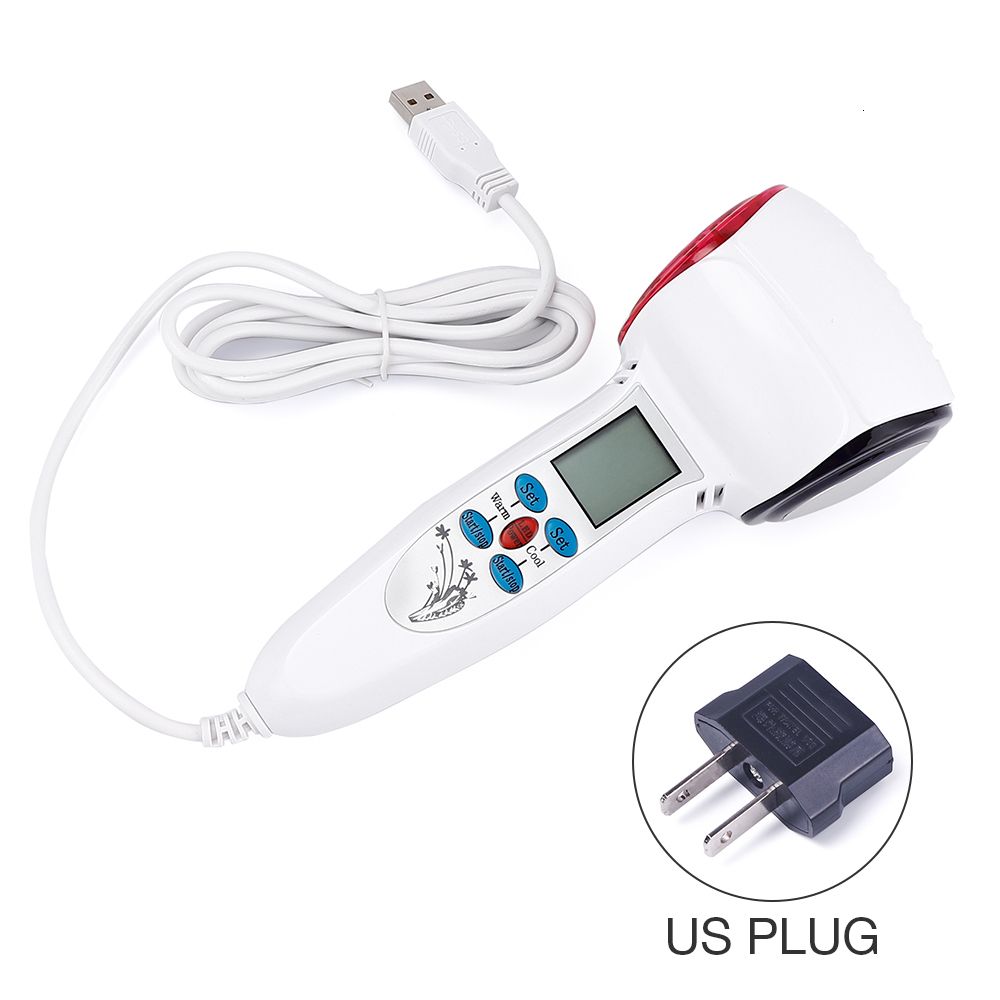 US Plug (100-110V)