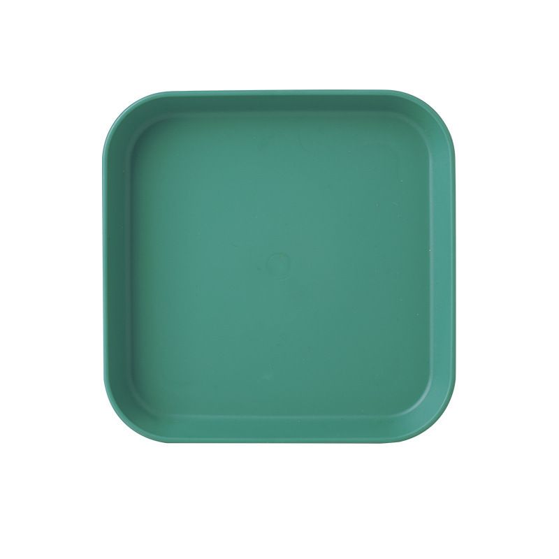 Square Plate-Green