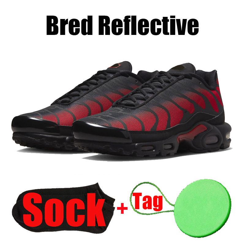 #24 Bred Reflective