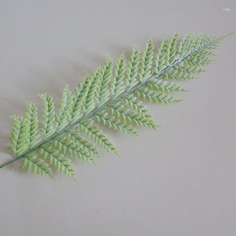 Cedar leaf