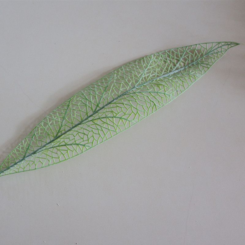 Reticulate leaf