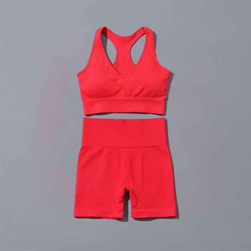 2PCS Conjunto vermelho