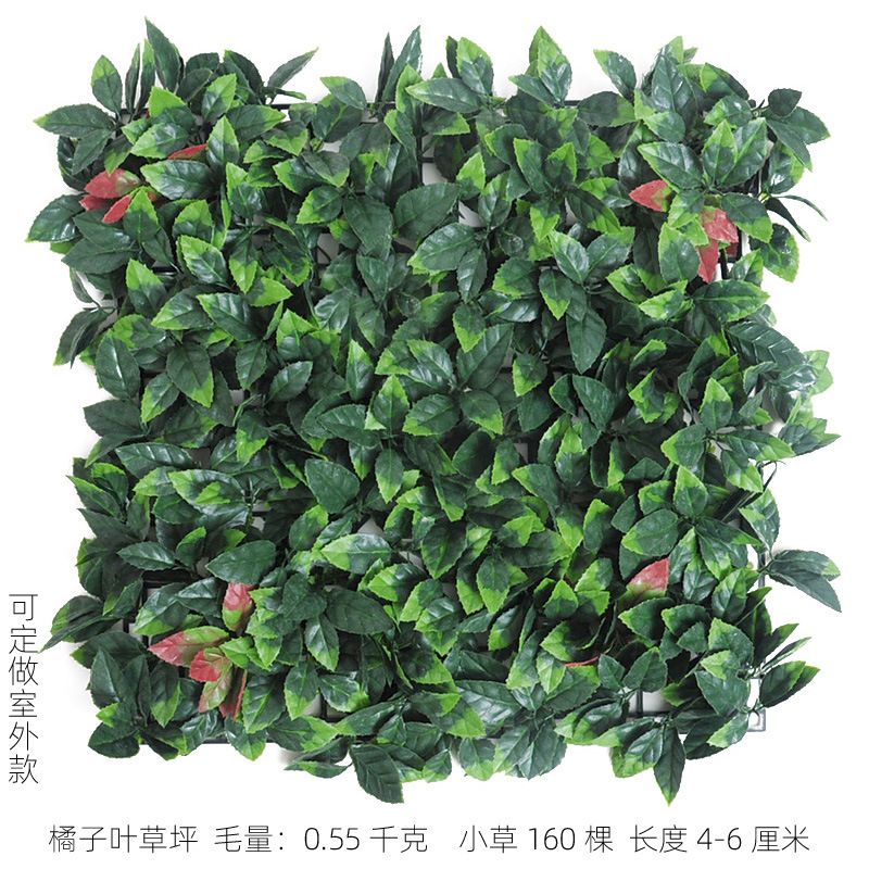 Zielona ściana rośliny t