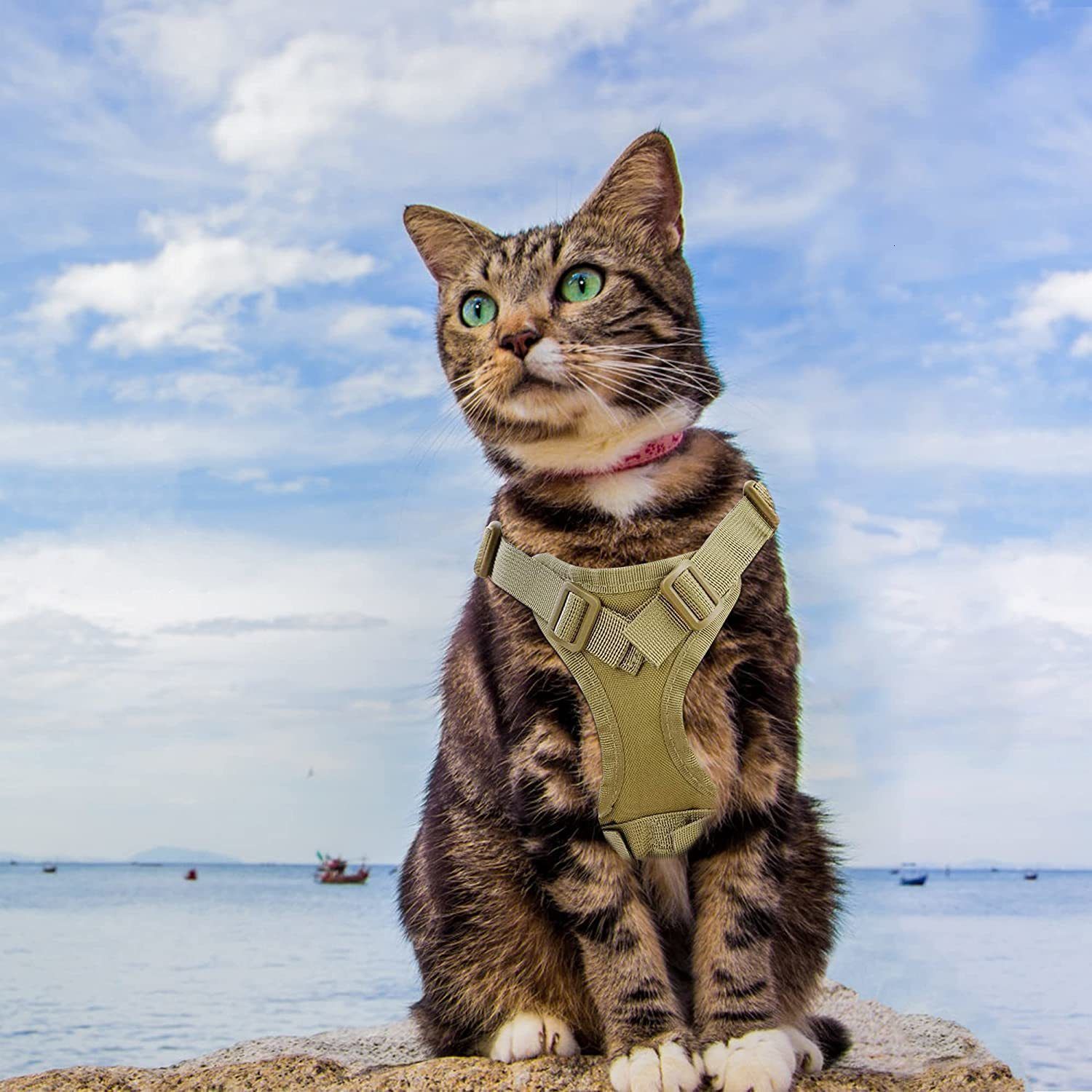 Kitten Collar And Lead Tactical Harness For Walking Escape Proof