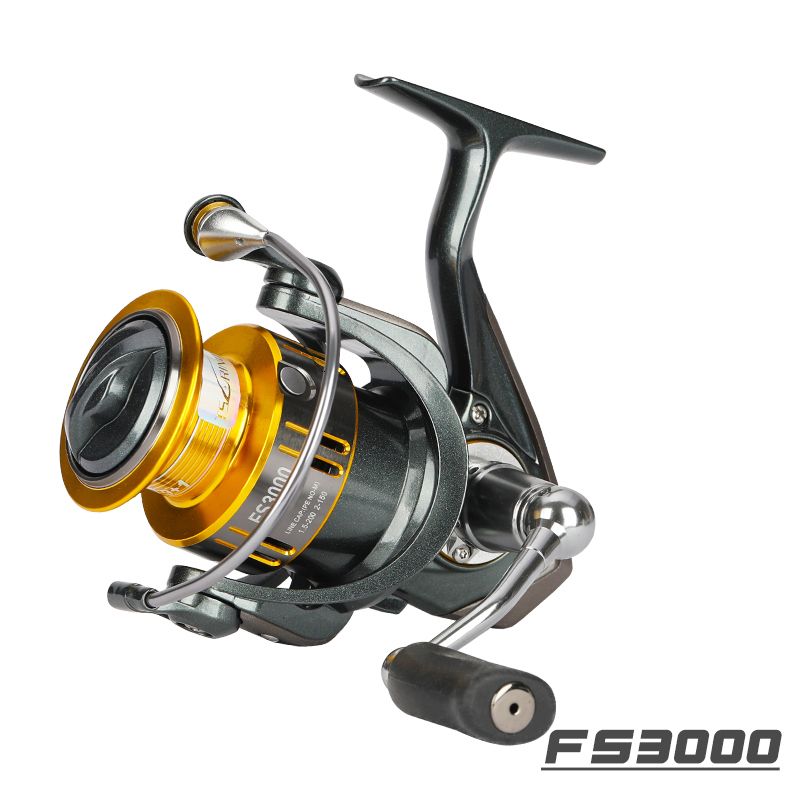 Fs 3000-10