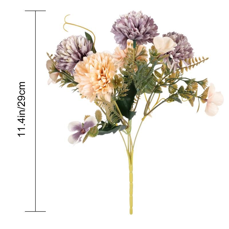 Chrysanthemum violet
