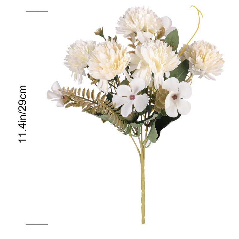 Chrysanthemum blanc