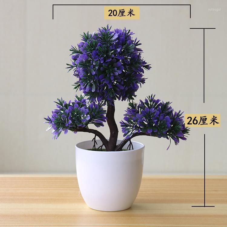 yingkesong violetta