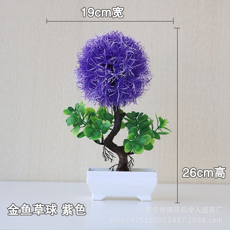 Jinyushu Violet