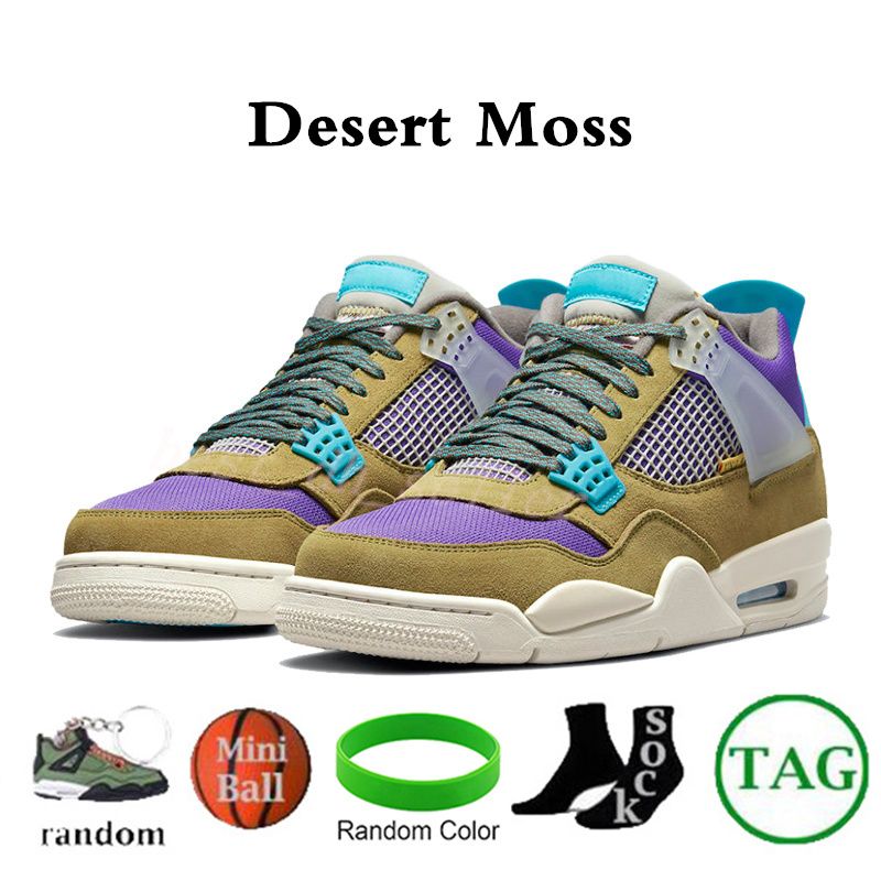 Moss # 9-désert
