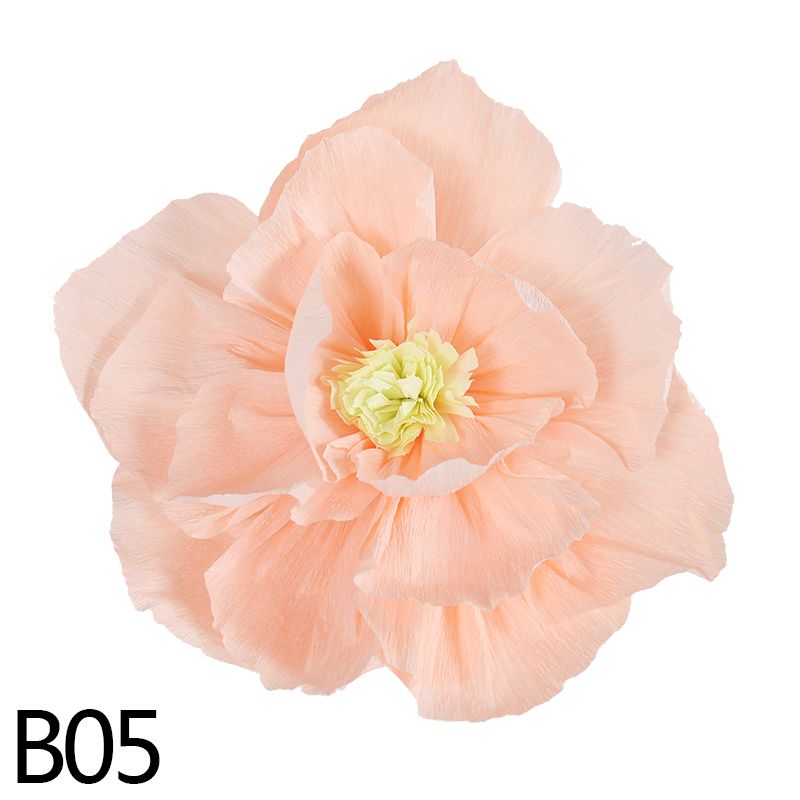 B05