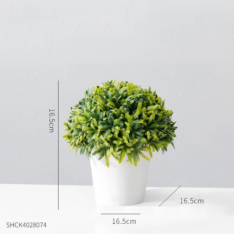 Höhe 16 cm 6,5 Zoll