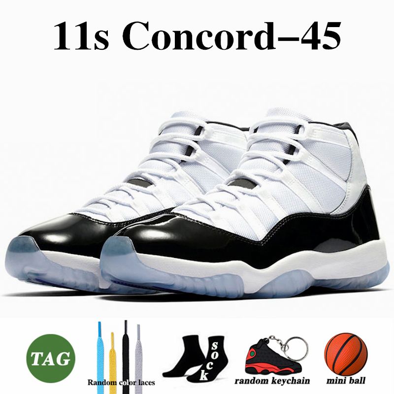 Concord 11