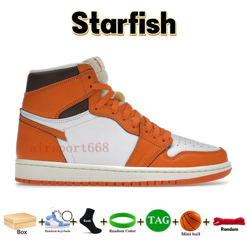 04 Starfish