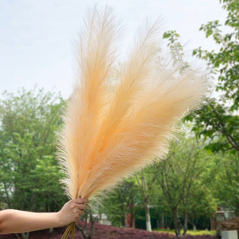 120cm yellow pampas