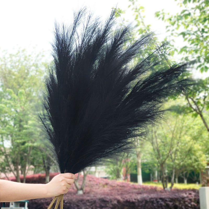 120cm black pampas