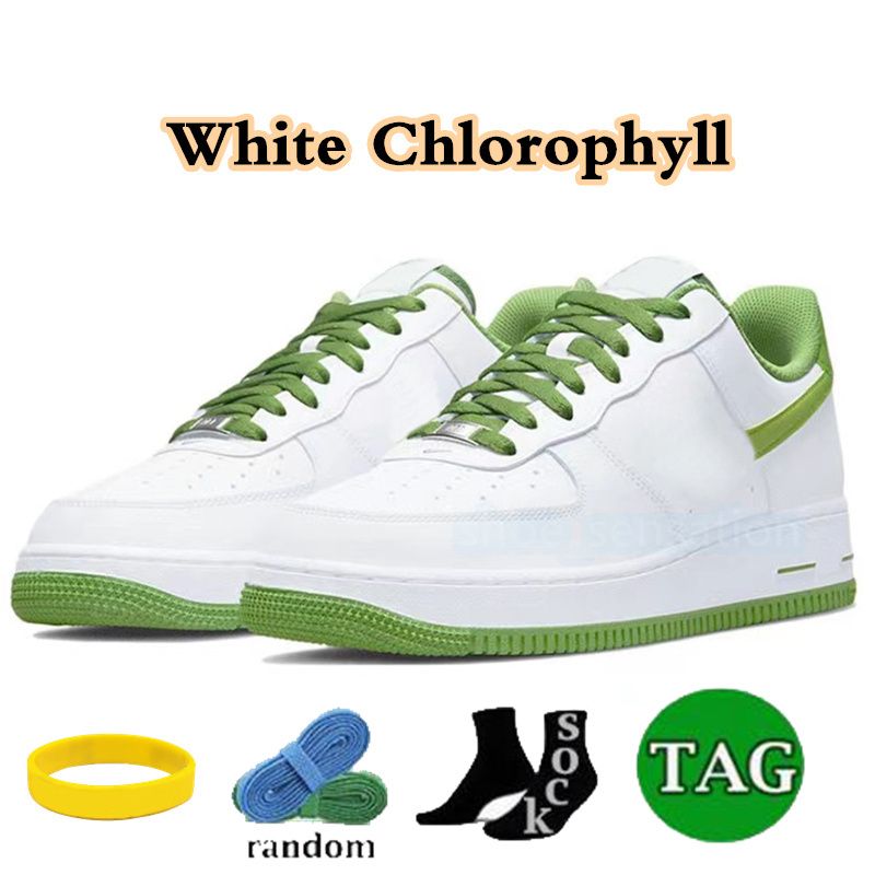 14 Witte chlorofyl