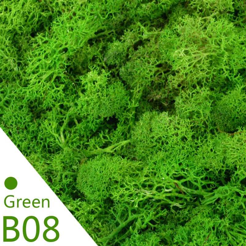 B08-groene mos