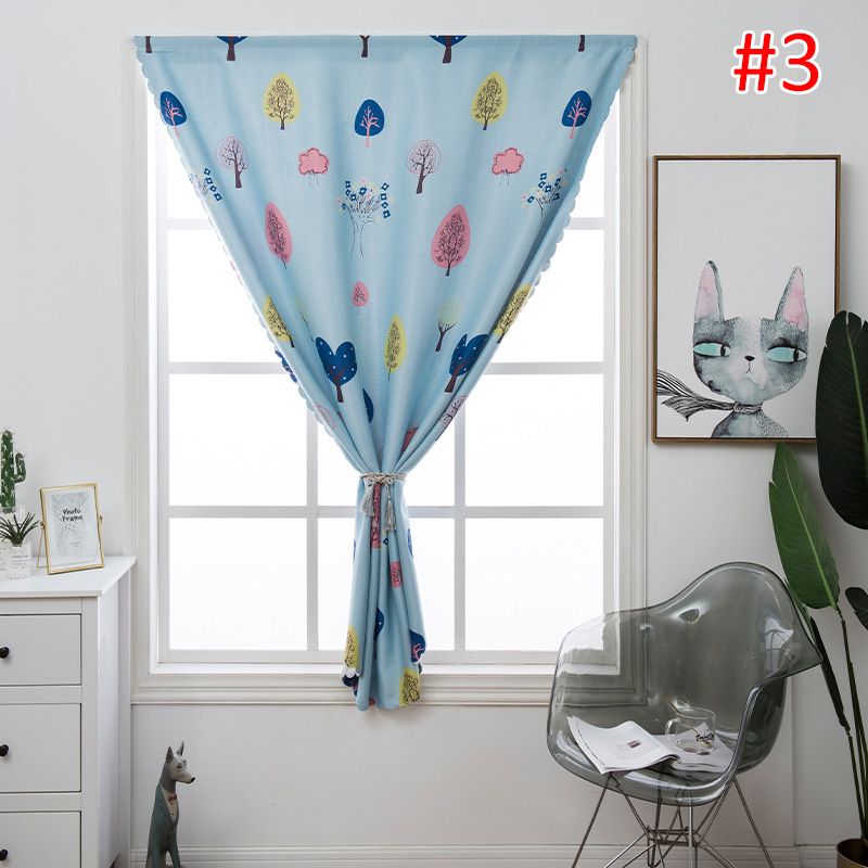 C-Window Curtain