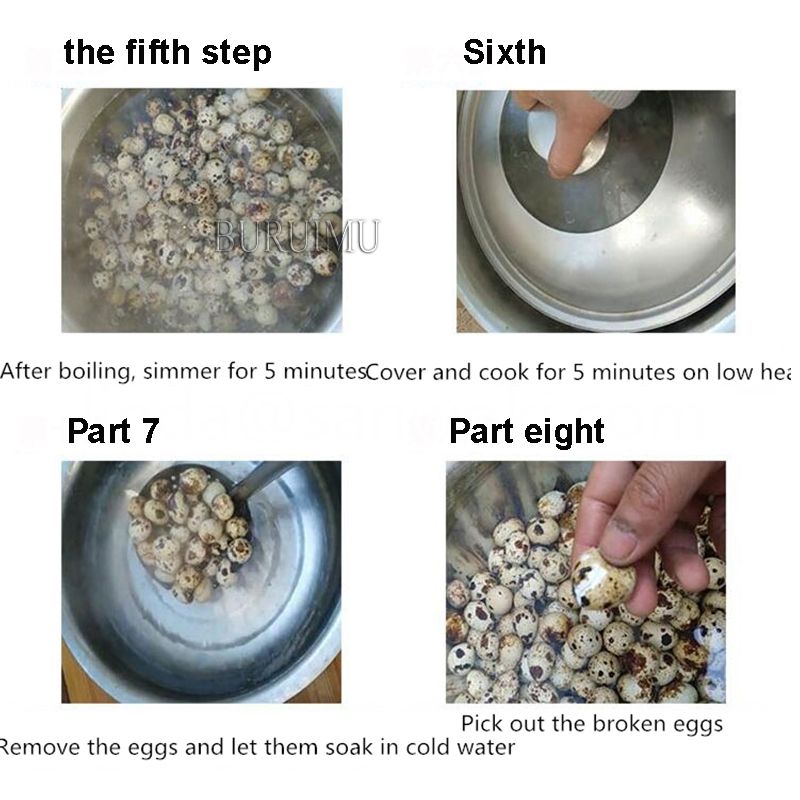 Manual Eggs husk machine boiled bird egg peeler Quail Egg Peeling machine  Egg