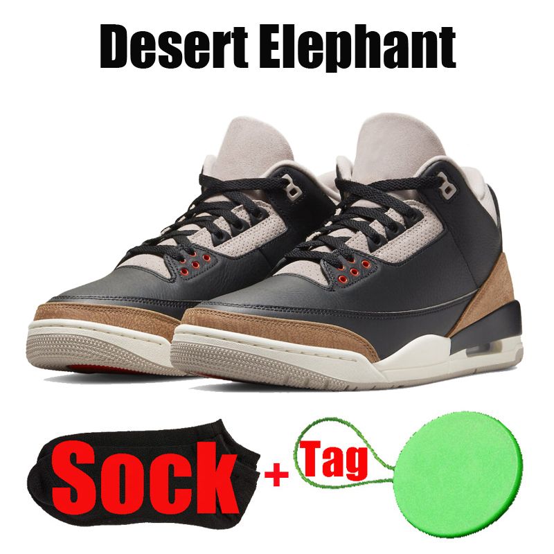 #31 사막 코끼리 40-47