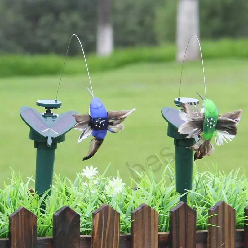 Solar -Kolibri