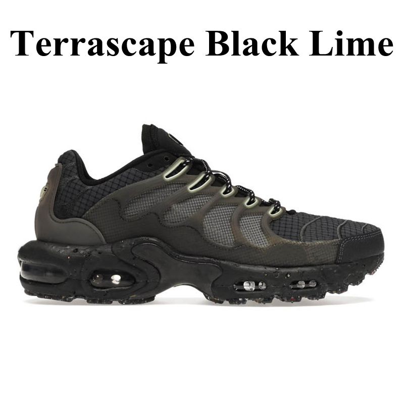 # 36-46 Terrascape Black Lime