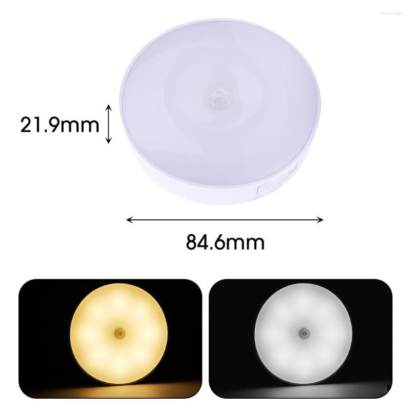 Motion Sensor Light